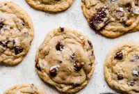 Warm & Gooey Chocolate Chip Goodness