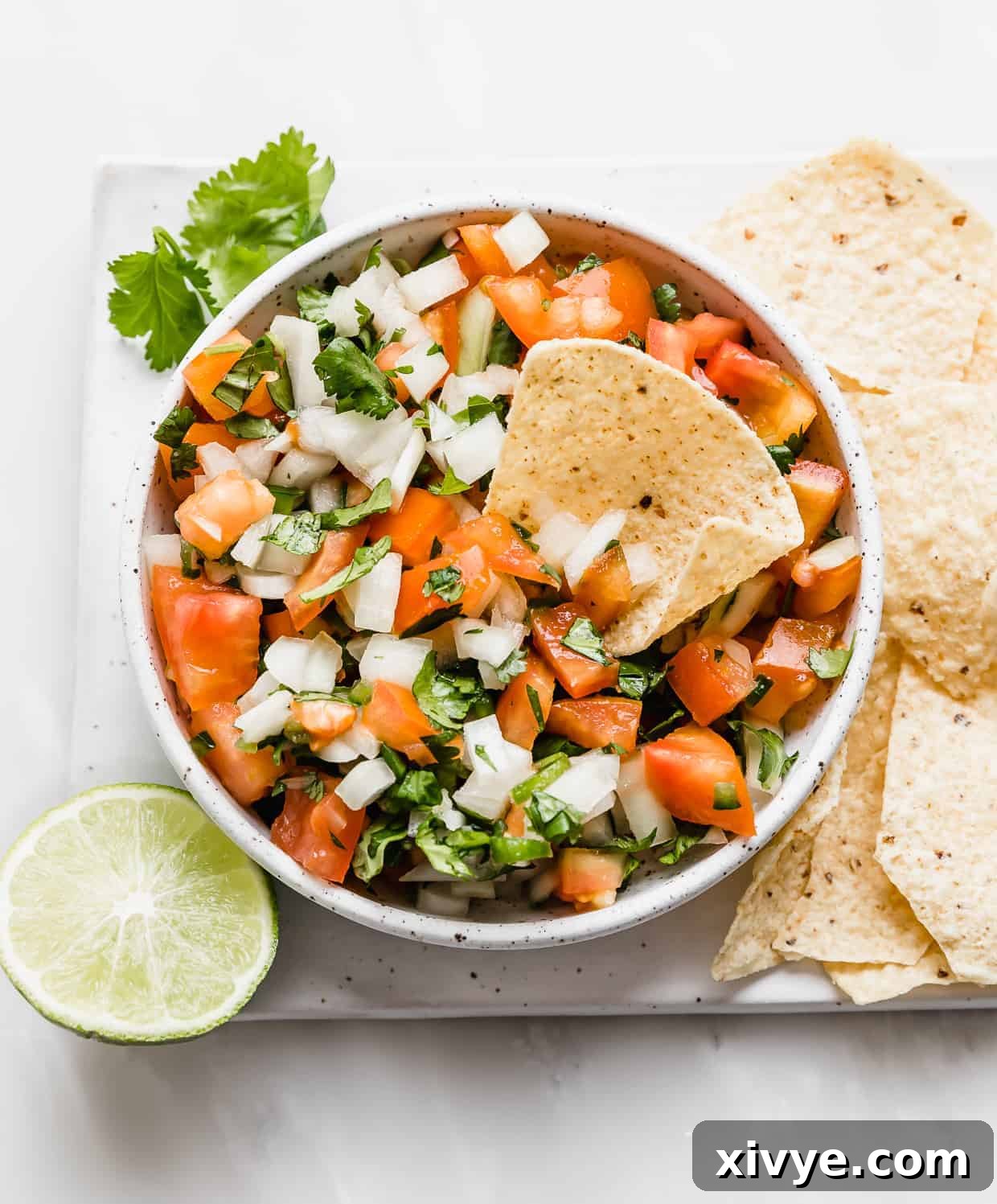 A tortilla chip in a bowl of Pico de Gallo, against a white background.