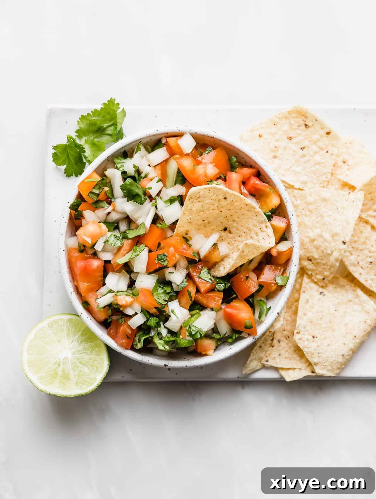 A bowl of fresh pico de Gallo with tortilla chips on the right side of the bowl.