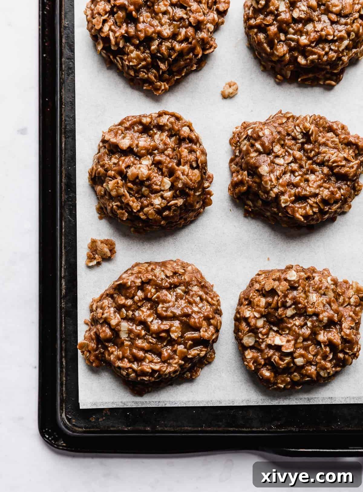 Small batch chocolate peanut butter no bake cookies arranged neatly on a white parchment paper, ready to be enjoyed.