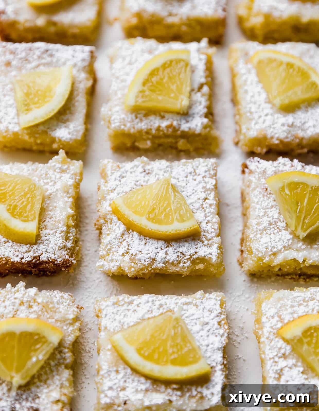 Neatly arranged lemon bars, each impeccably topped with powdered sugar and adorned with a fresh slice of lemon, creating an inviting display.
