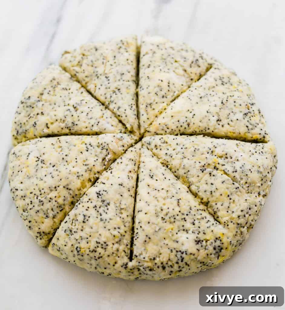 Sunshine Lemon Poppy Scones 4 Lemon Poppy Seed Scones dough formed into a round disk and cut into 8 equal sized wedges.