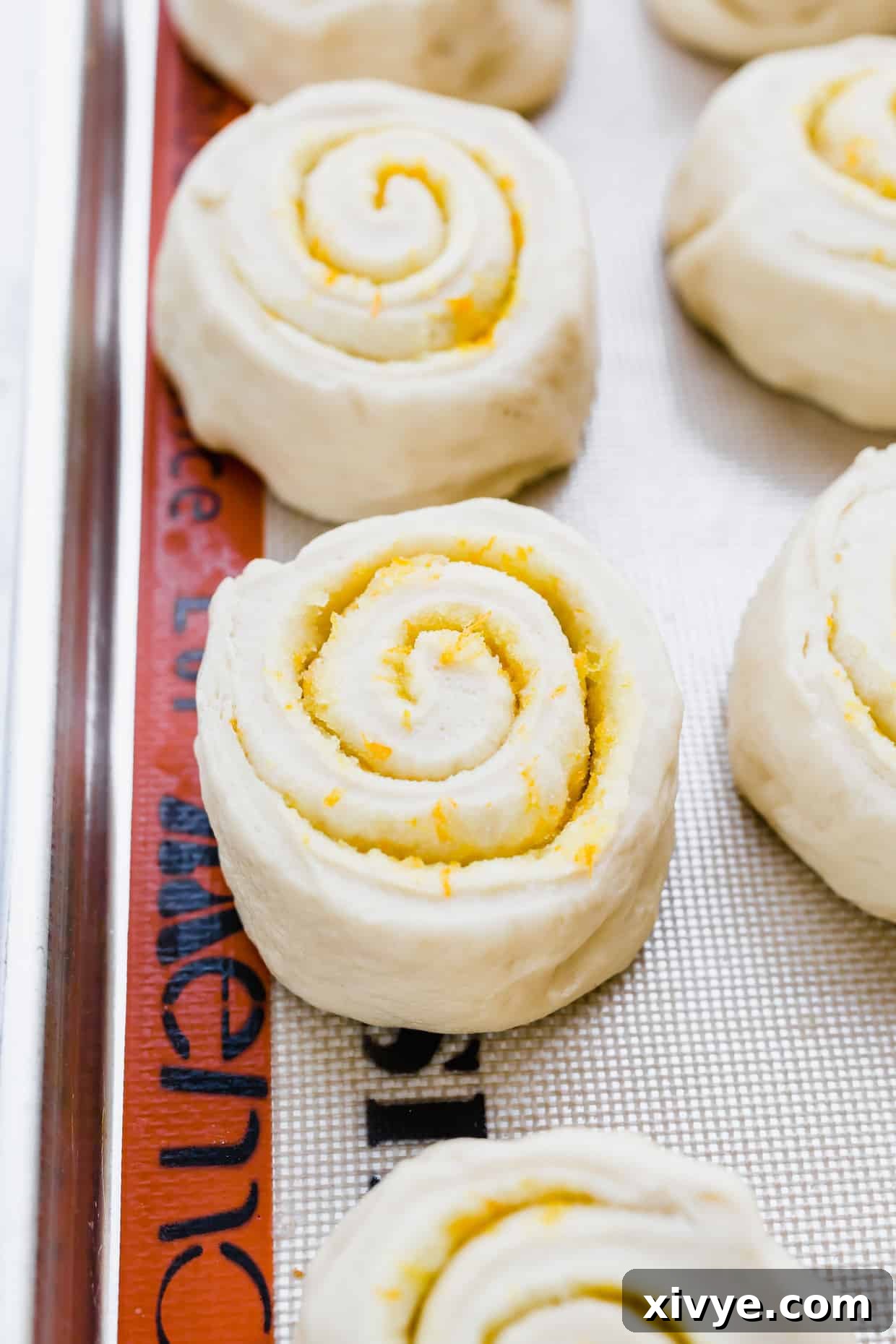 Easy homemade orange sweet rolls rolled into spirals and place on a baking sheet.