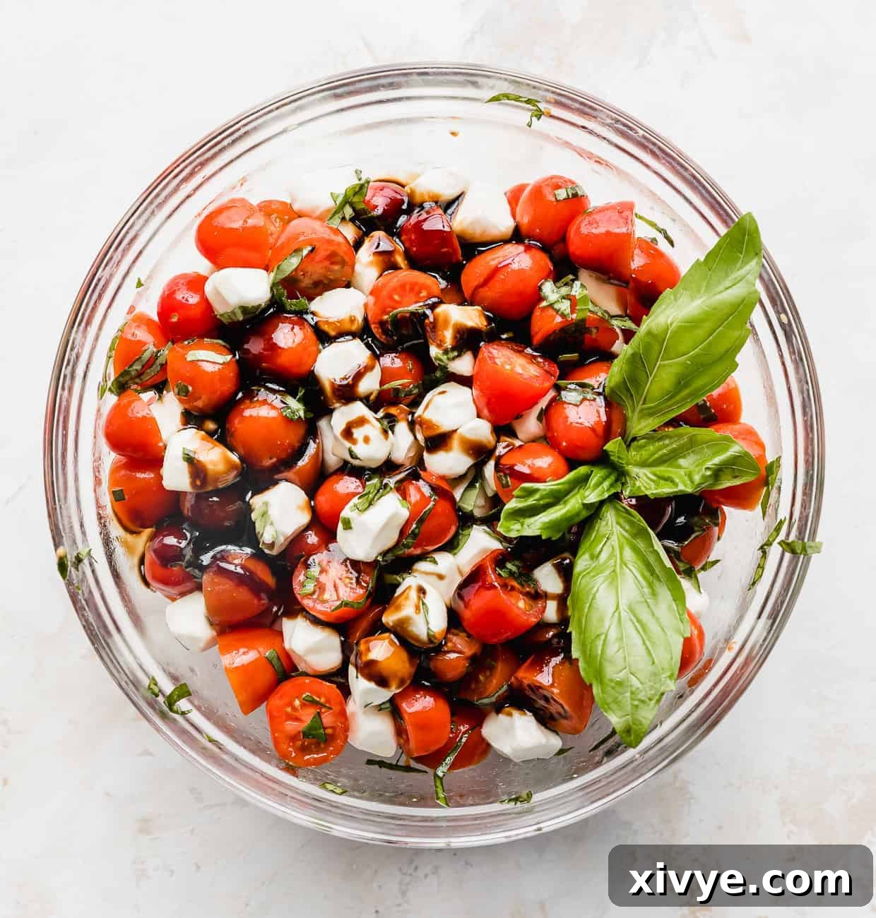 Vibrant Cherry Tomato Caprese Salad 7 A cherry tomato caprese salad mixed with fresh mozzarella balls, fresh basil and a sprig of fresh basil on top.