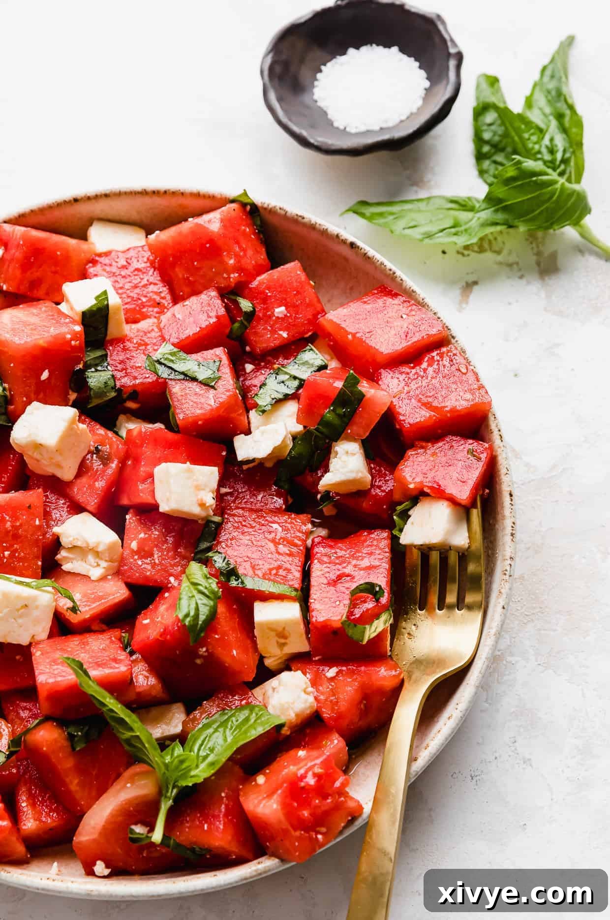 Sweet and Savory Watermelon Feta Basil Salad 6 A close up photo of a cubed Watermelon Feta Basil Salad.