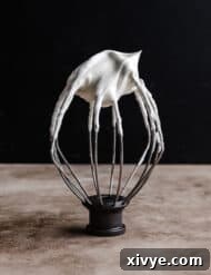A whisk attachment with Greek Yogurt Whipped Cream on it, perfect for a recipe card image.