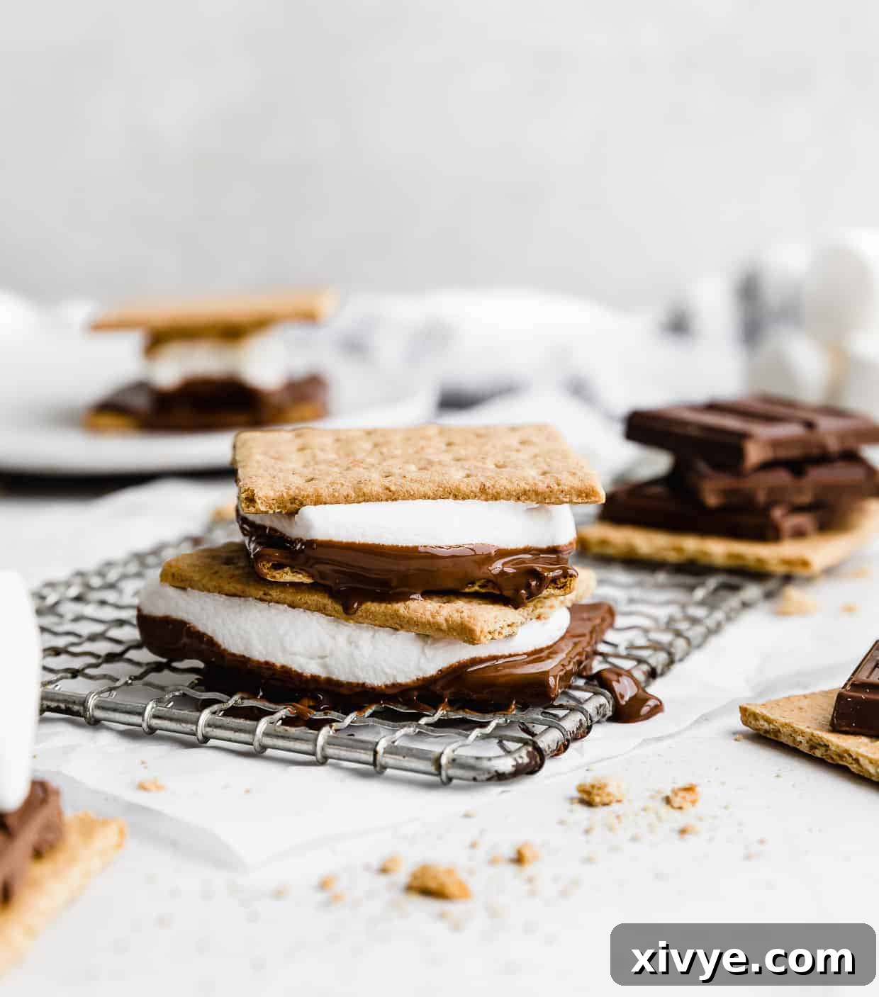 Oven s'mores on a wire cooling rack against a white background. 
