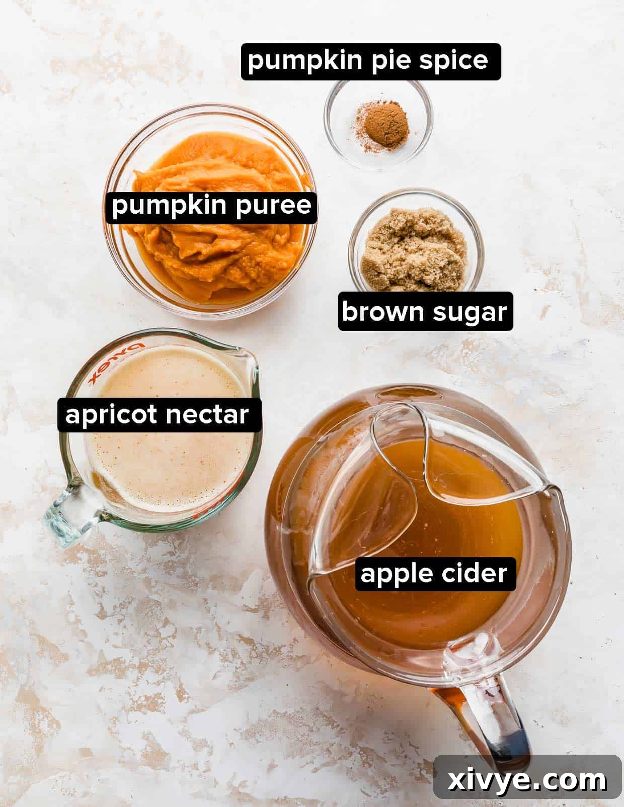 Ingredients used to make Harry Potter pumpkin juice on a textured background. 