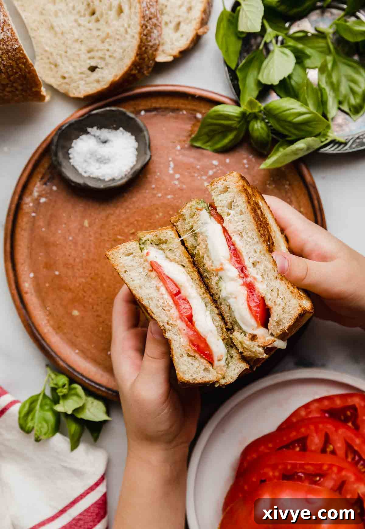 Artisan Pesto Mozzarella Sandwich 6 A pair of hands holding two halves of a Pesto Mozzarella Sandwich with tomato over a brown plate, ready to be enjoyed.