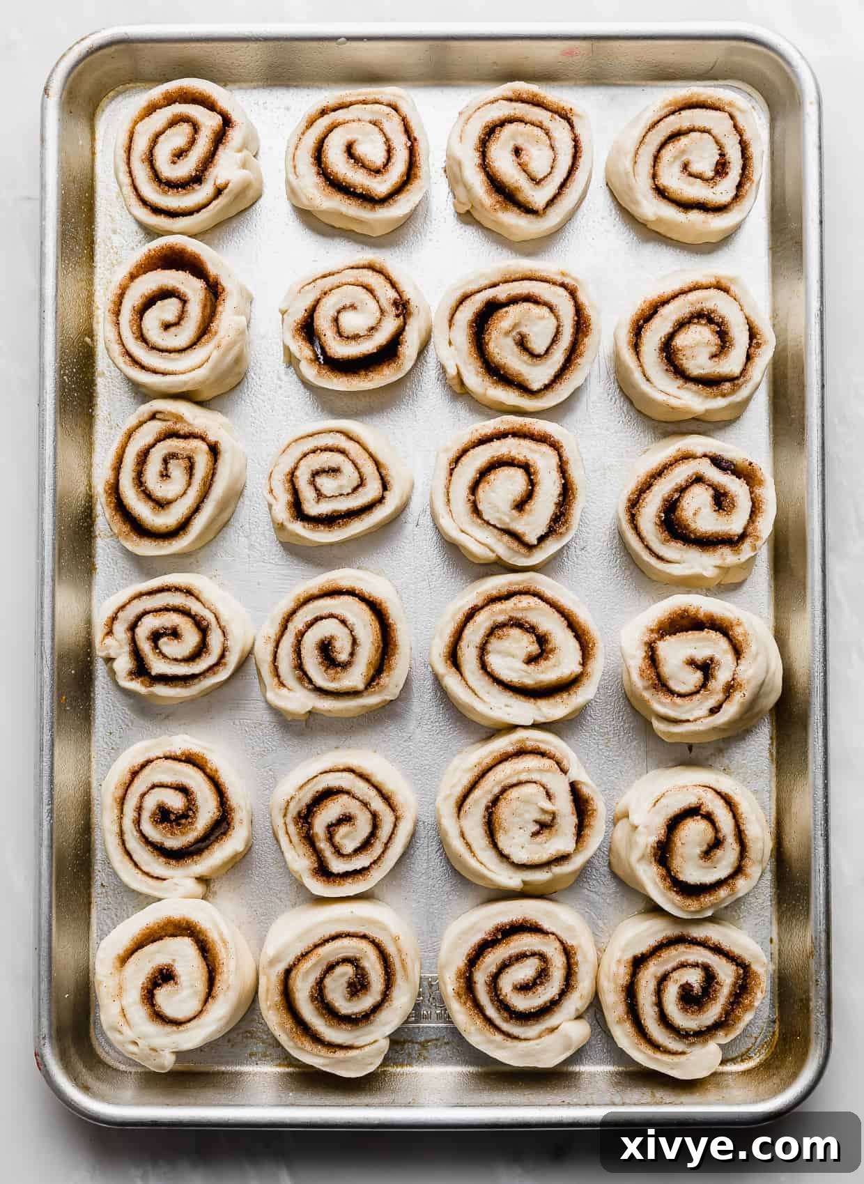 Irresistible Mini Cinnies 15 A jelly roll pan filled with raw mini cinnamon rolls, arranged 4 across and 6 down, ready for the second rise.
