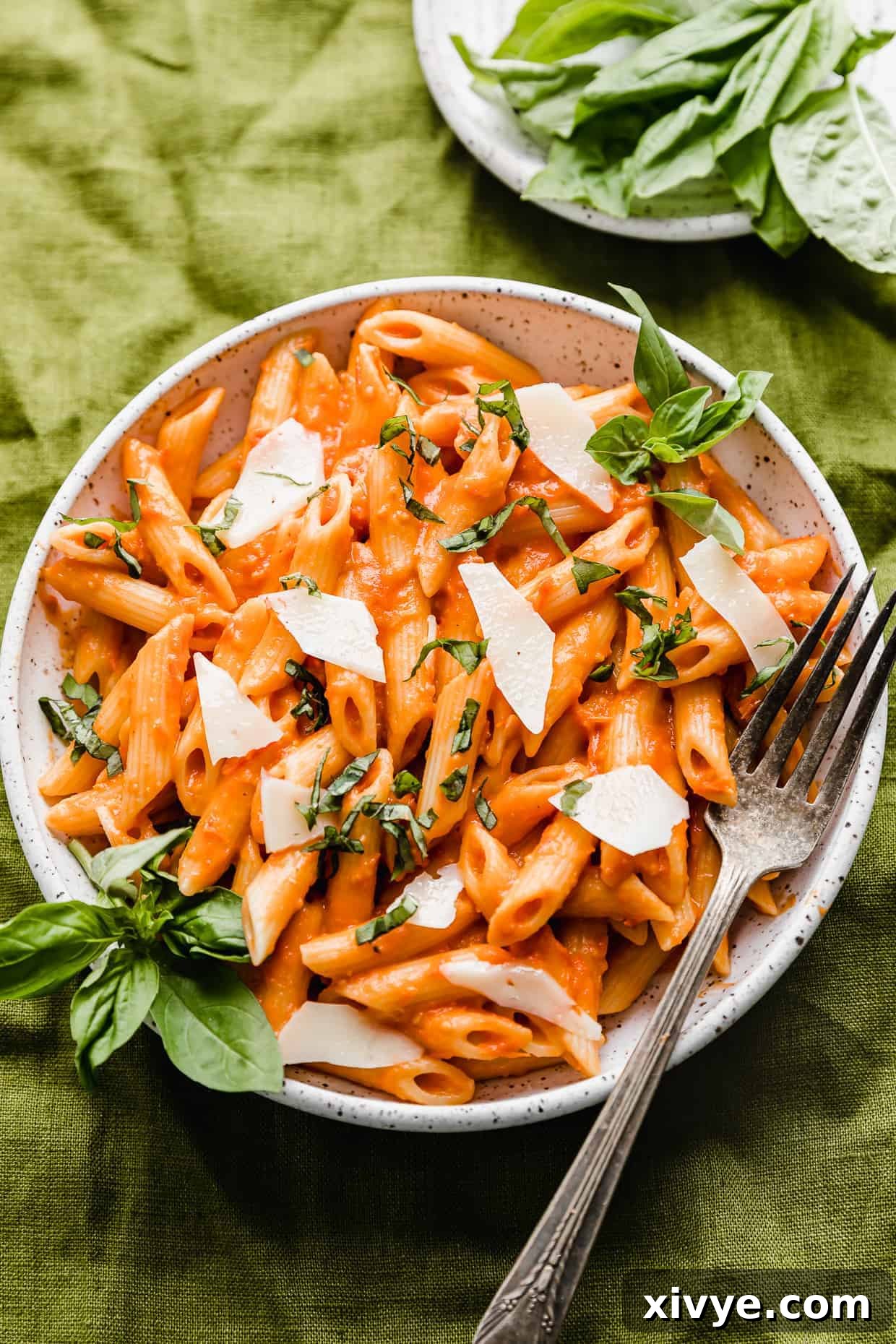 A white plate full of red Penne Pomodoro pasta topped with fresh basil.