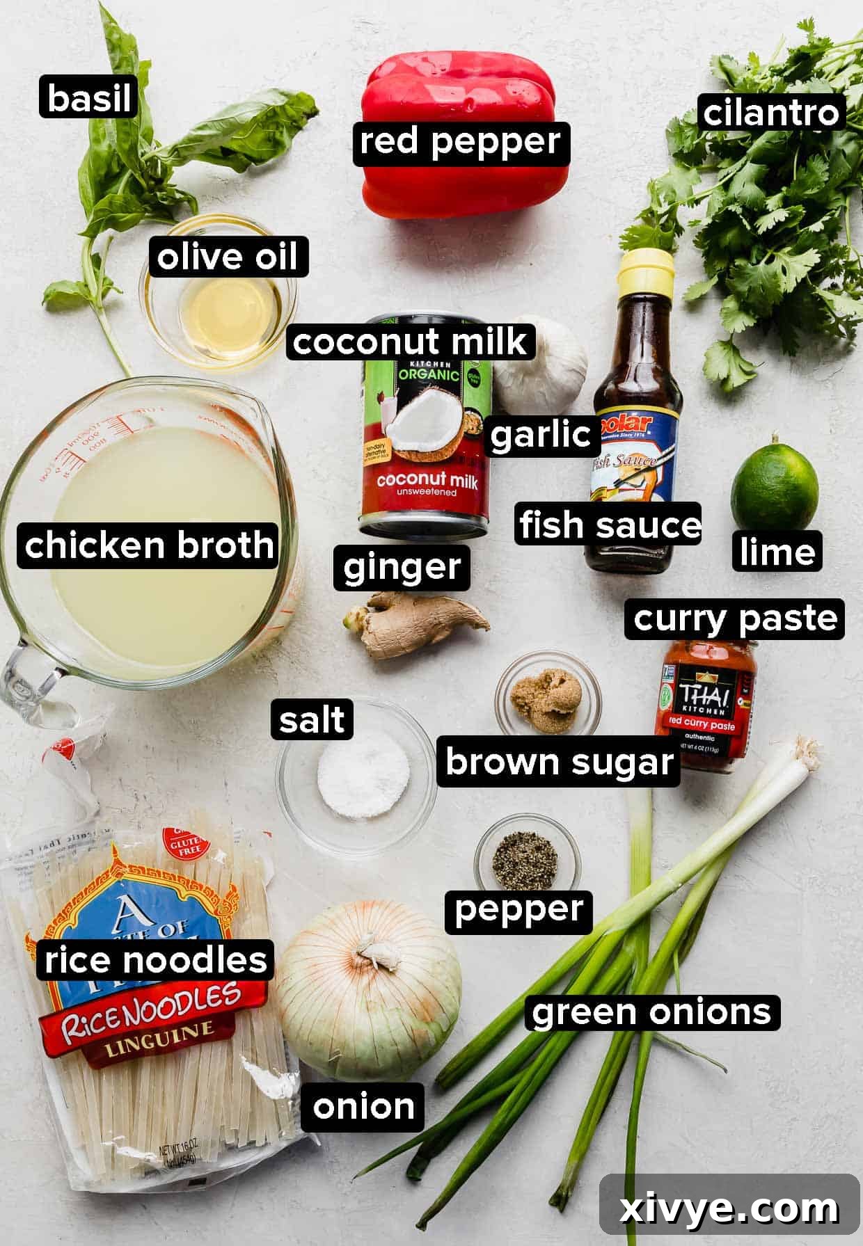 A curated selection of fresh ingredients, including red curry paste, coconut milk, herbs, and noodles, laid out on a white and gray background, ready for making Thai Red Curry Noodle Soup.