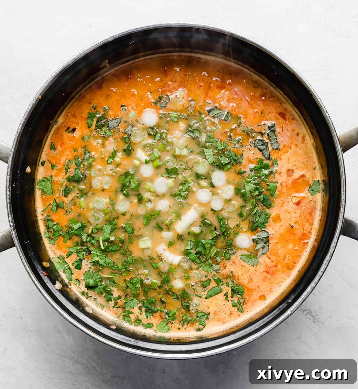 An overhead view of a pot brimming with Thai Red Curry Noodle Soup, now beautifully garnished with a generous topping of freshly chopped herbs like cilantro and basil, and sliced green onions.