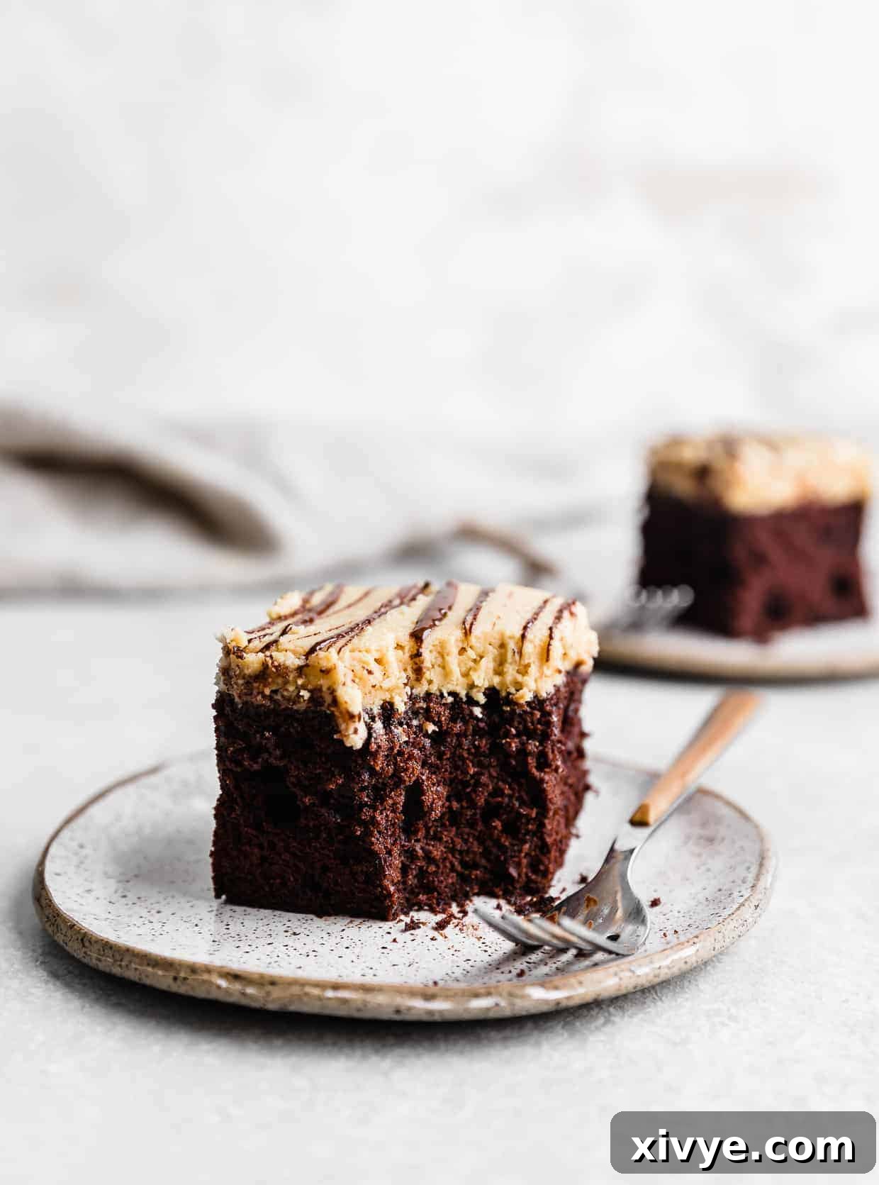 A slice of chocolate cake topped with pb frosting on a white plate.