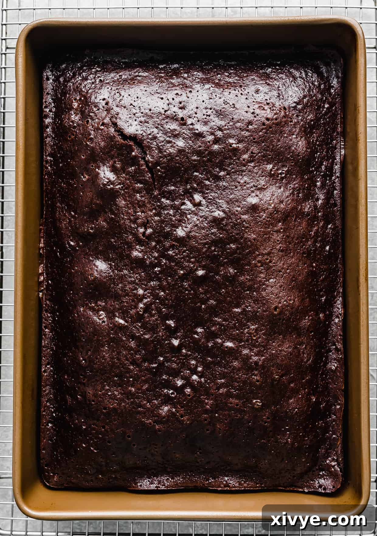A chocolate cake baked in a 13x9 inch pan.