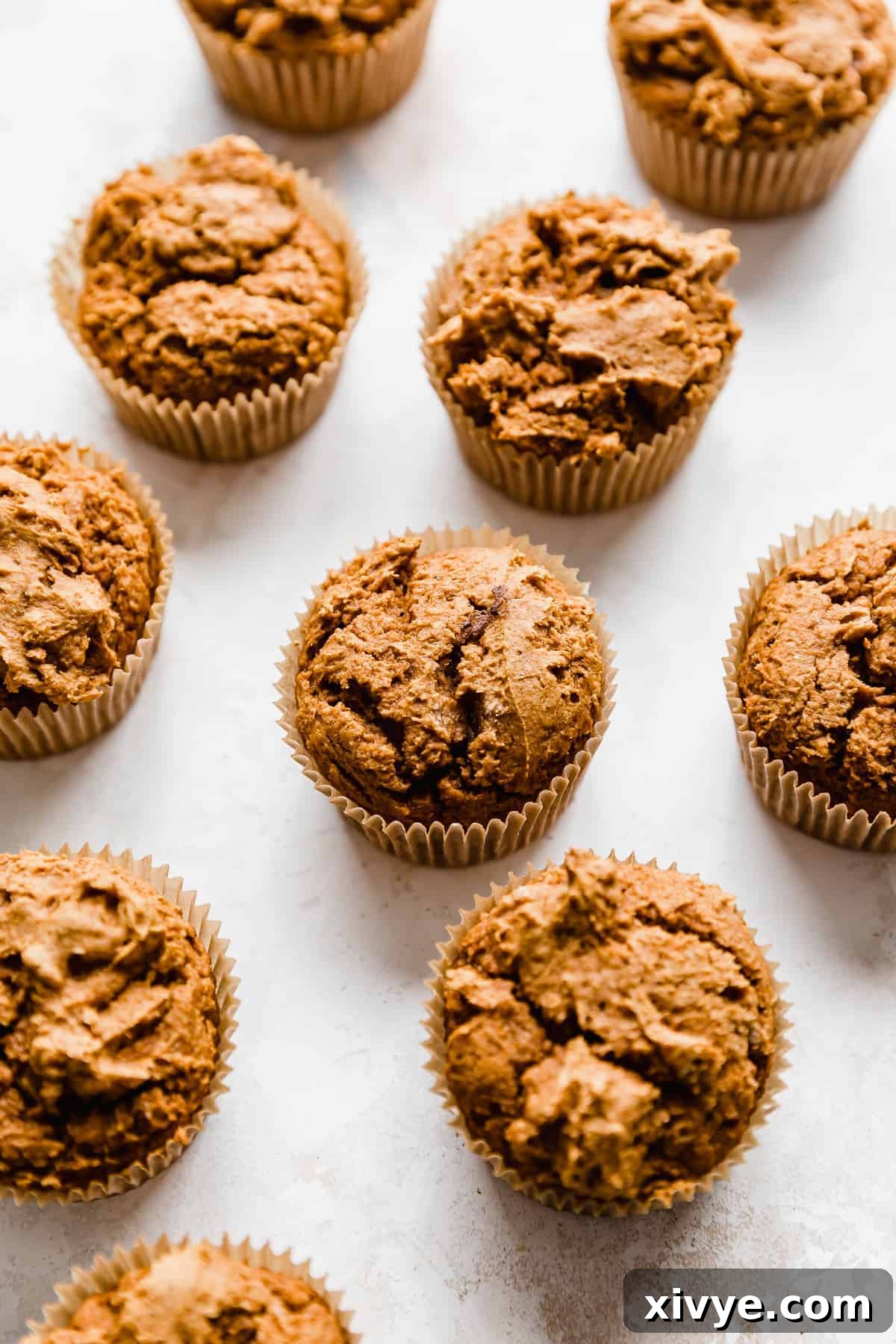 2 Ingredient Pumpkin Muffins on a white background, highlighting their simple beauty.