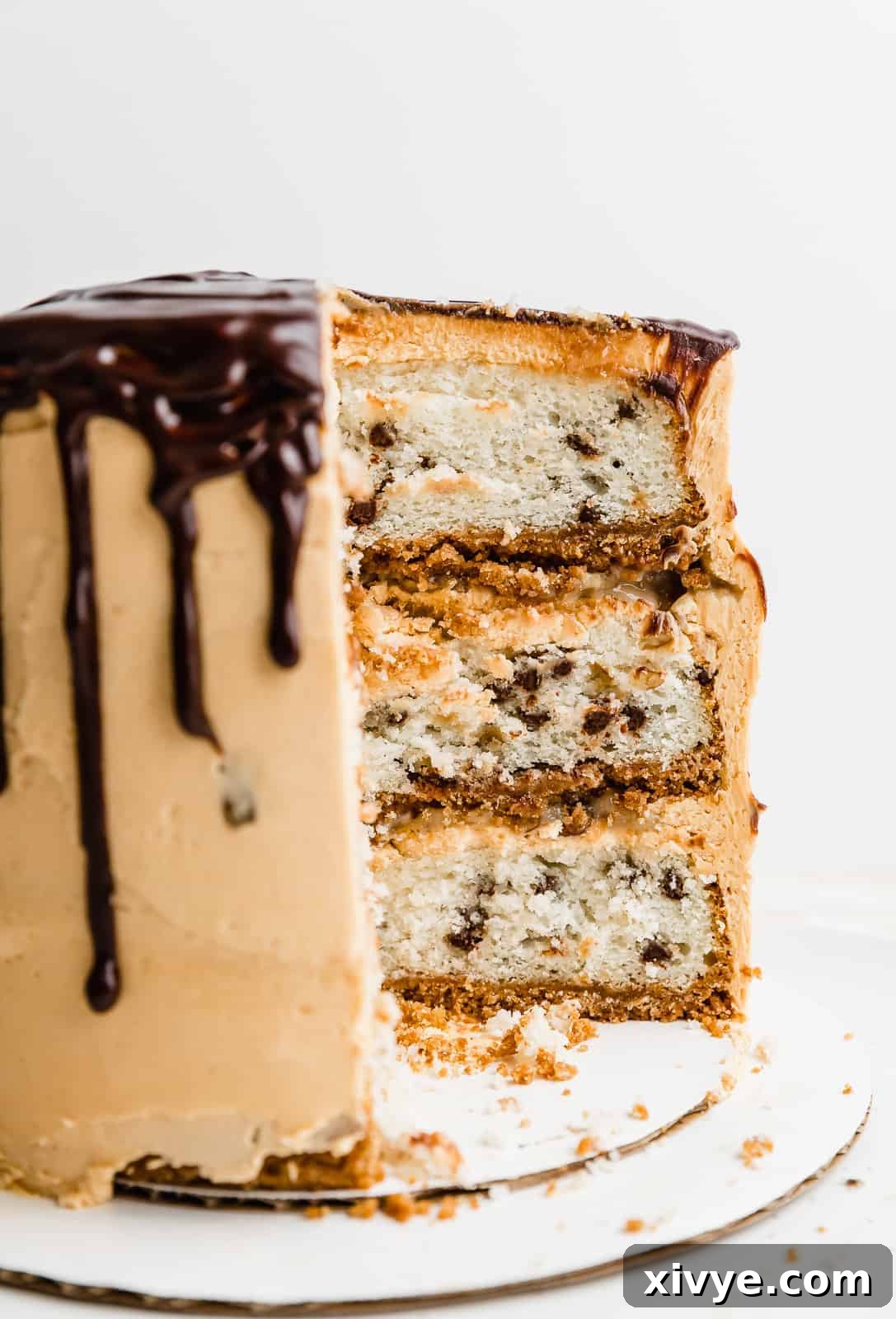 A beautifully sliced 7 Layer Bar Cake showing distinct layers of golden graham cracker crust, three moist white cake layers infused with mini chocolate chips, and creamy fillings.