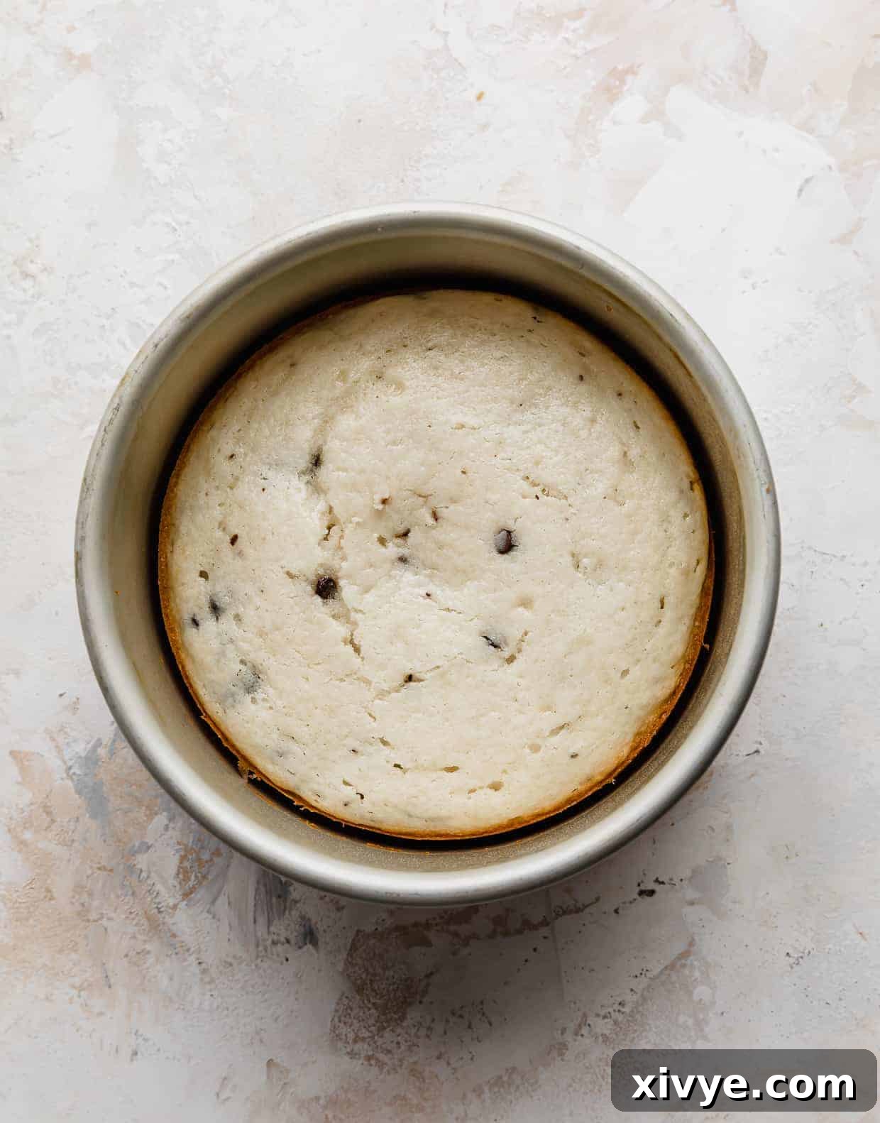 A golden-baked white cake, infused with mini chocolate chips, resting in its round cake pan on a clean white background, ready for cooling.