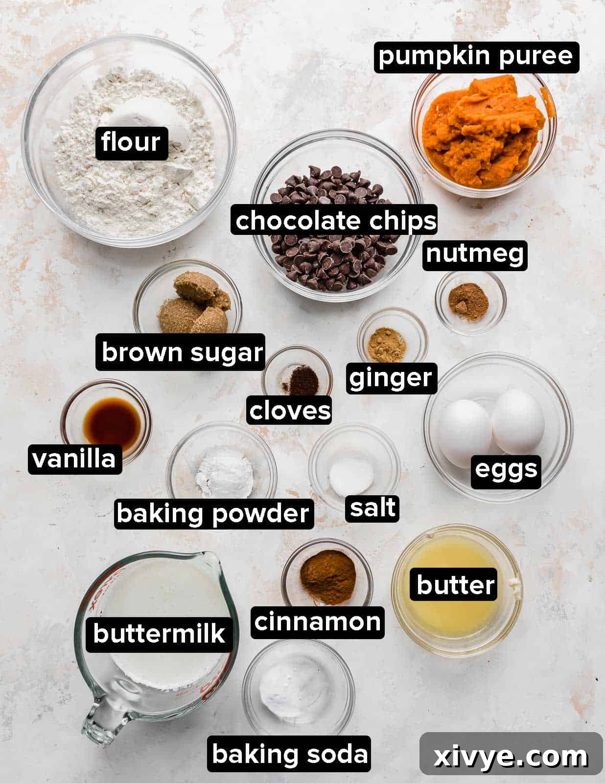 A collection of fresh ingredients used to make Fluffy Pumpkin Chocolate Chip Pancakes, including pumpkin puree, buttermilk, eggs, flour, butter, brown sugar, and a mix of fall spices, all arranged on a clean white background.