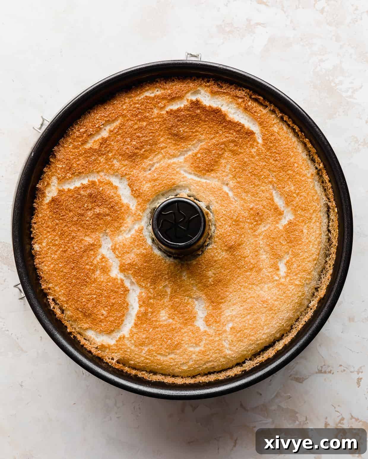 A golden-brown baked Angel food cake, still nestled within its tube pan, fresh from the oven.