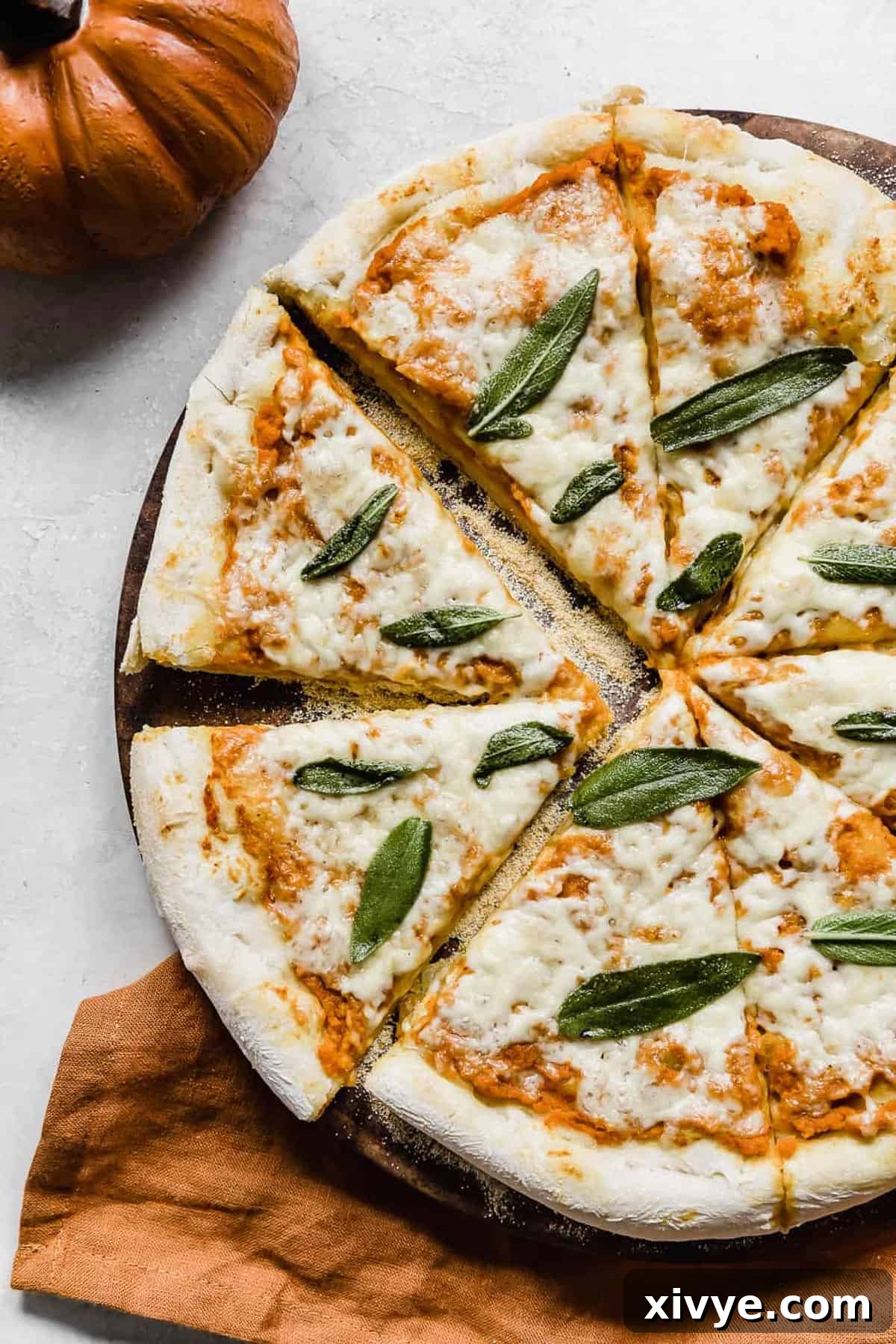 Pumpkin Pizza on a gray background.