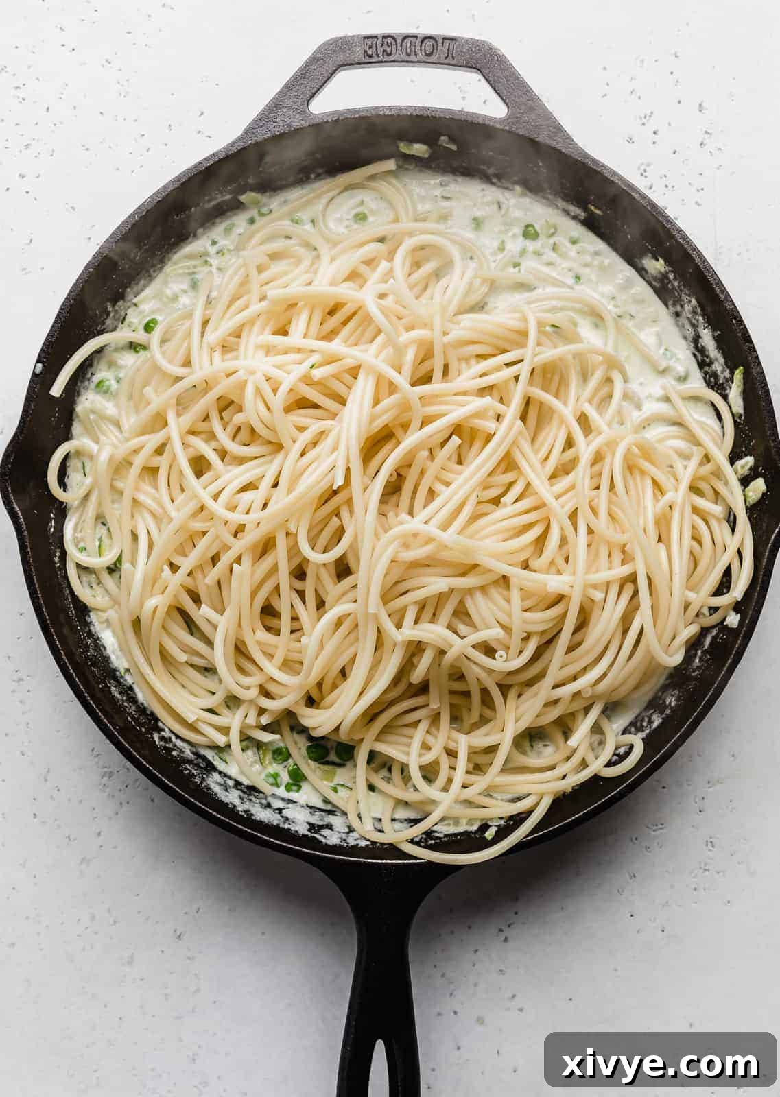 Creamy Zucchini Pasta 10 A black skillet showcasing perfectly cooked bucatini noodles nestled atop a rich and creamy zucchini sauce.