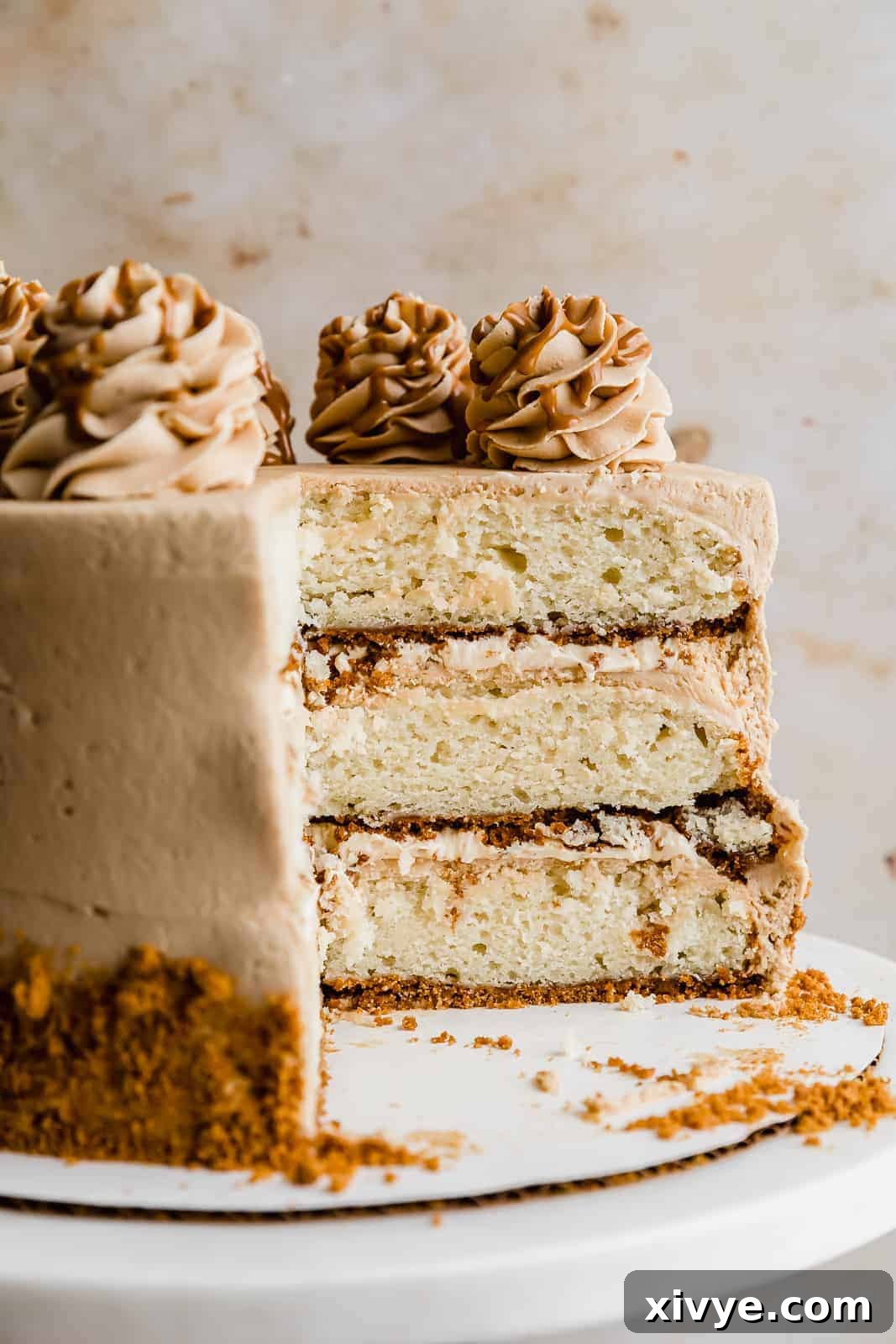 A glorious Biscoff Caramel Cake with a perfect slice removed, beautifully showcasing its three layers, the creamy caramel filling, and the distinct Biscoff cookie crust.