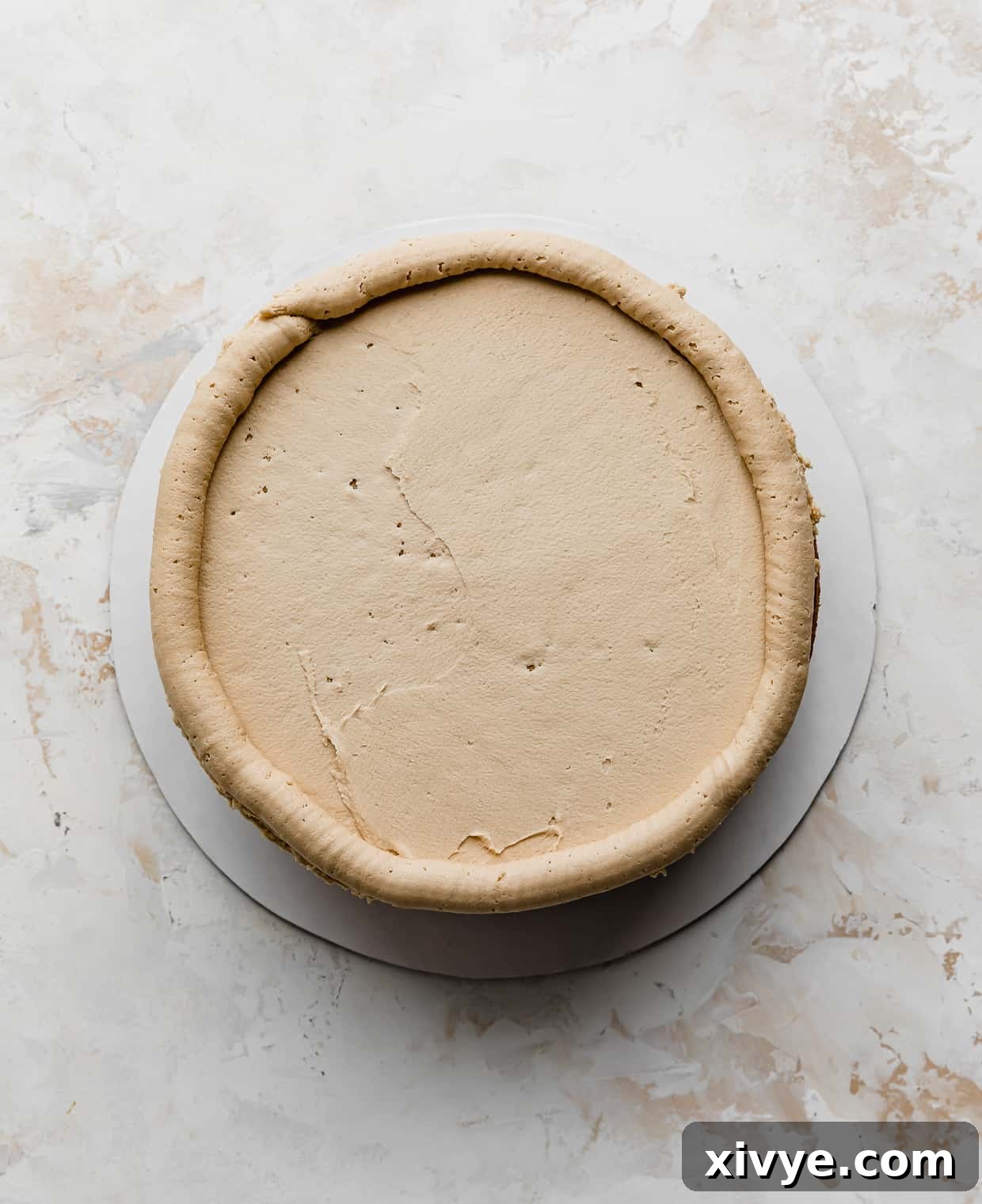 Biscoff buttercream meticulously piped along the edges of a round cheesecake cake layer, forming a perfect dam for the filling.