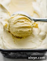 Close up photo of Homemade Vanilla Ice Cream being scooping by an ice cream scooper.