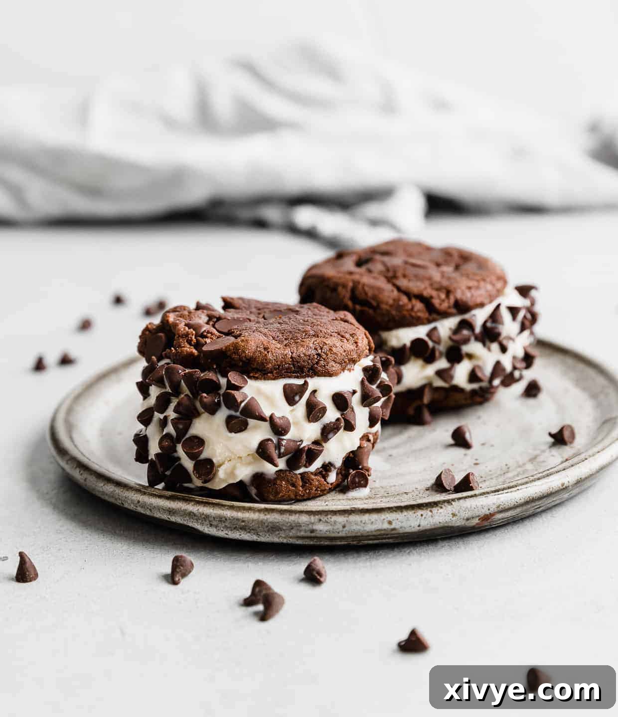 Cookie Ice Cream Delight 2 Two Cookie Ice Cream Sandwiches on a gray plate with mini chocolate chips surrounding the plate.