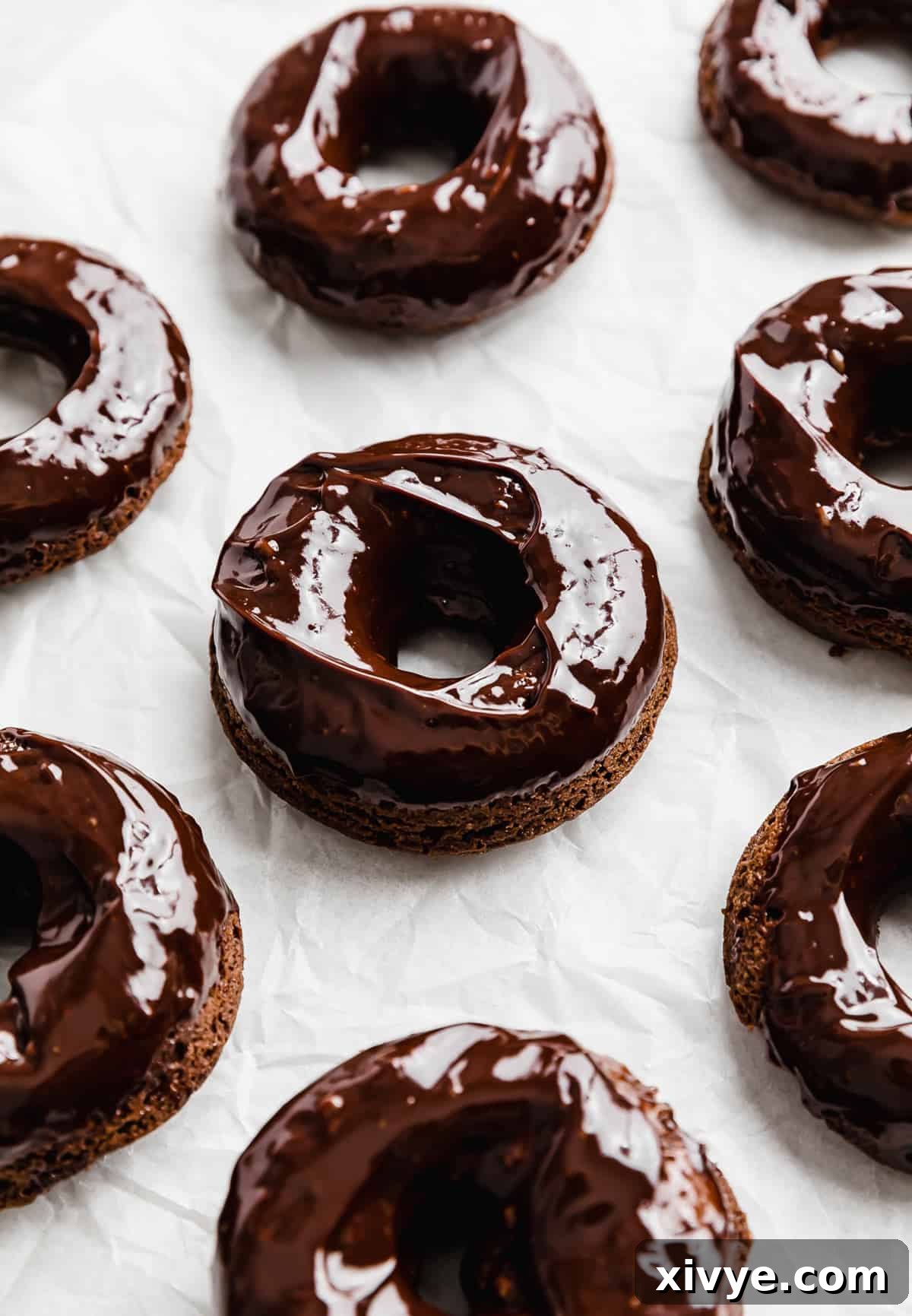 Chocolate Doughnuts topped with a chocolate glaze on white background.