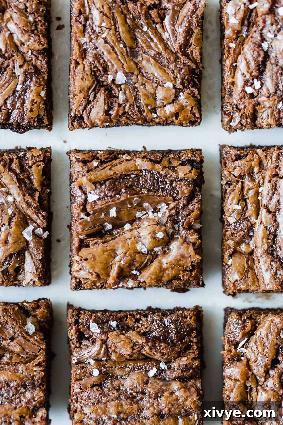 Decadent Nutella Hazelnut Brownies 2 Nutella Brownies topped with flaky sea salt lined up on a white background, showcasing their fudgy texture.