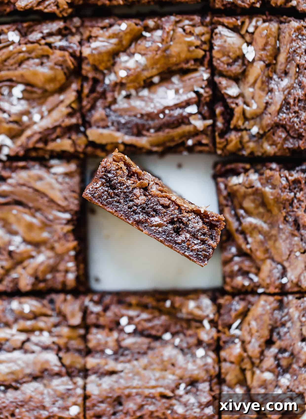 Decadent Nutella Hazelnut Brownies 8 Overhead view of Nutella brownies cut into squares, with one brownie tilted towards the camera to show the thickness and fudgy interior.