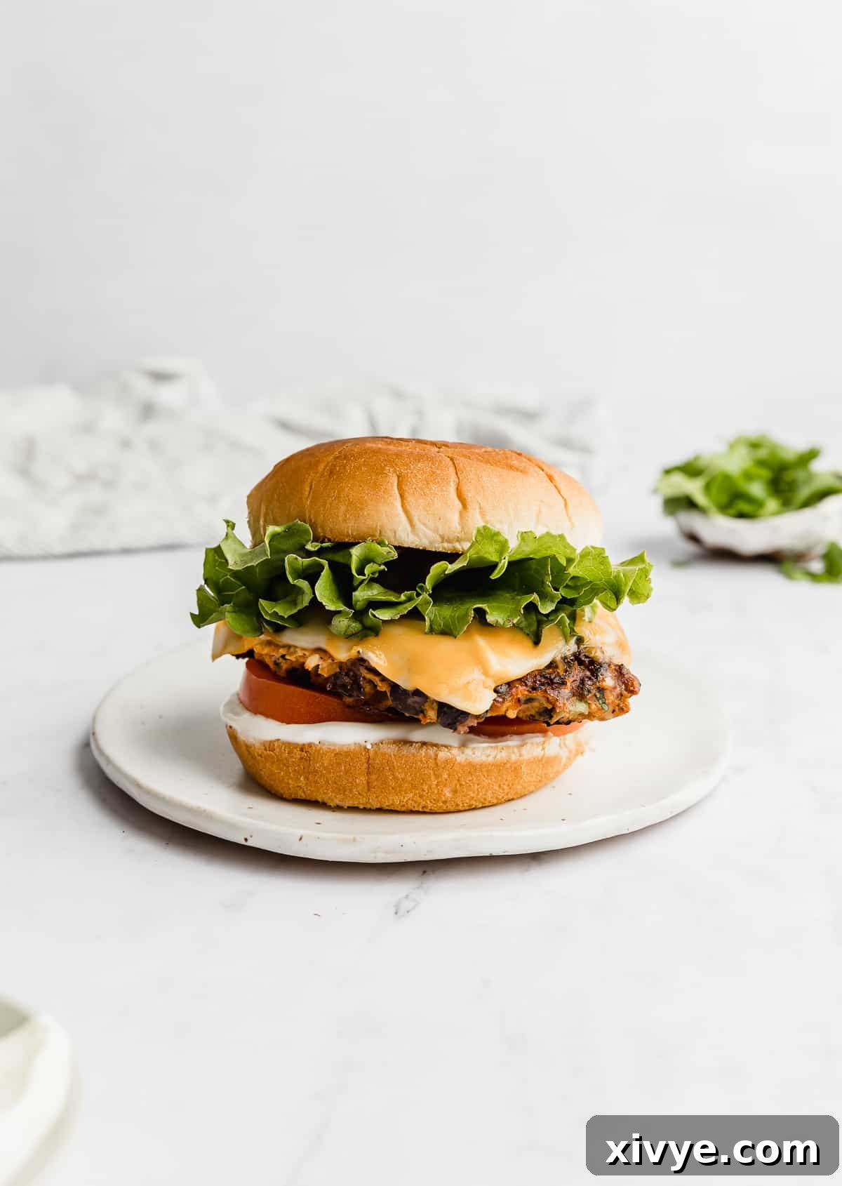 Fiesta Turkey Burgers 2 A perfectly cooked Taco Turkey Burger on a white plate, garnished with fresh toppings, against a clean white background.