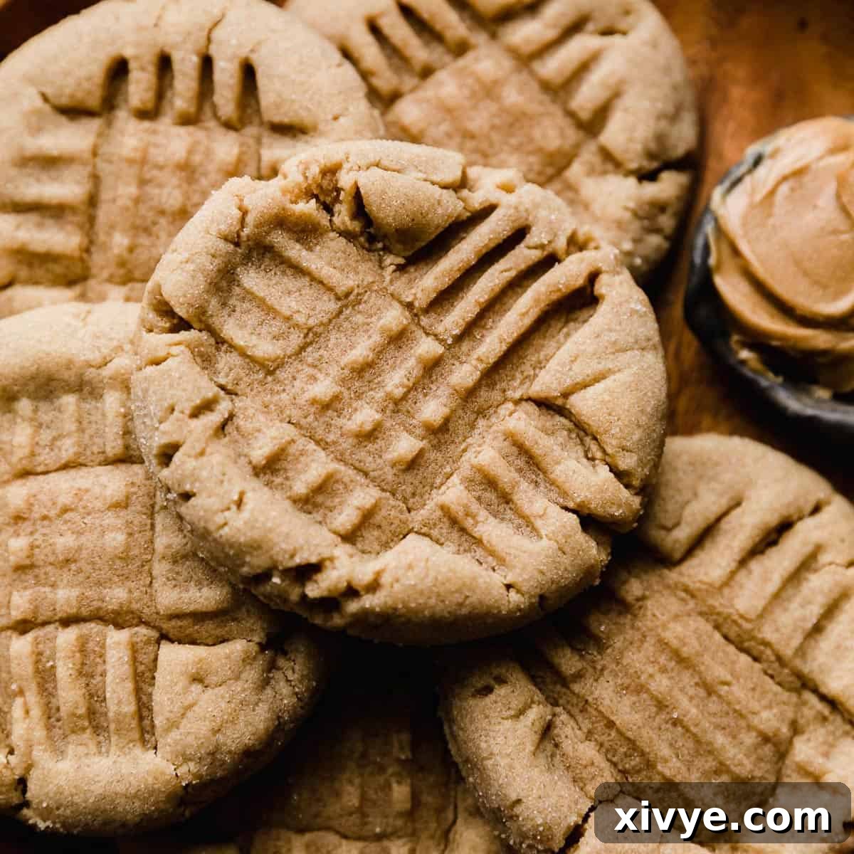 A close-up shot of a classic Peanut Butter Cookie, showcasing its soft, chewy texture and the distinctive fork tine criss-cross pattern imprinted on its top.