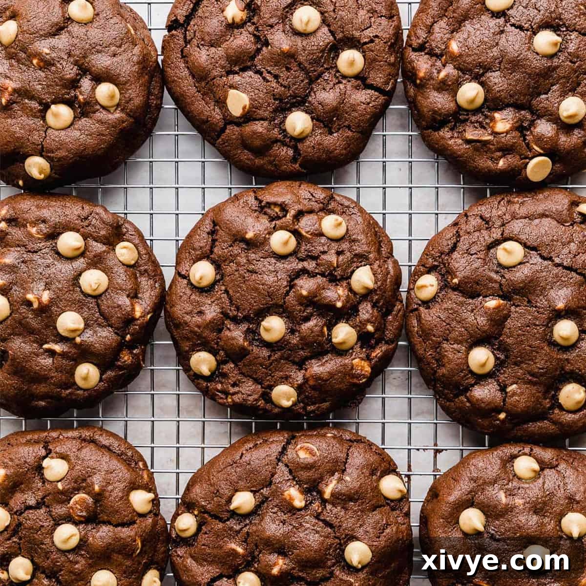 A row of perfectly baked Chocolate Peanut Butter Chip Cookies, showcasing their rich chocolate base and abundant peanut butter chips, cooling on a wire rack.