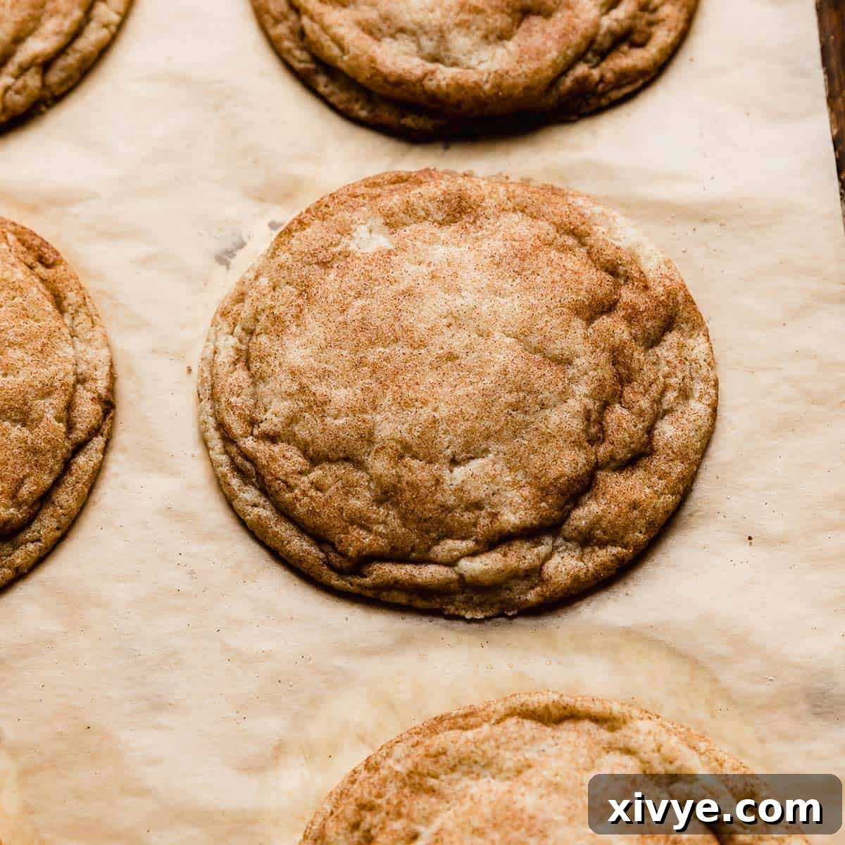 A generously sized, golden-brown snickerdoodle cookie, coated in a sugary cinnamon mix, resting on tan parchment paper, highlighting its soft texture.