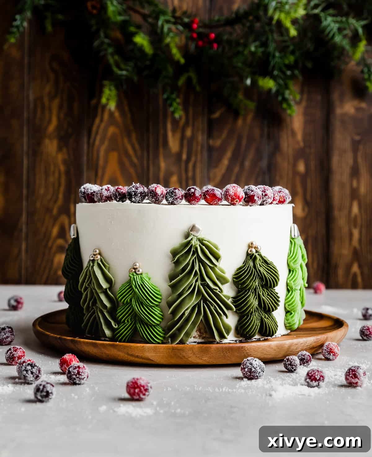 An orange cranberry cake with Christmas Trees piped on the sides of the cake, a true festive centerpiece.