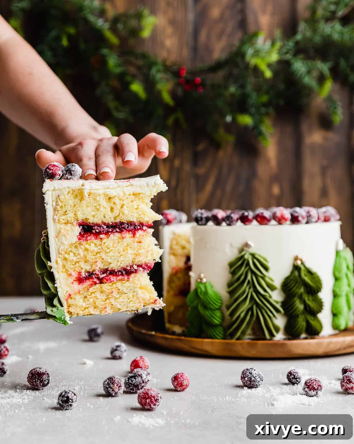 A slice of Christmas Tree Cake (Orange Cranberry Layer Cake) against a brown wooden background, highlighting the beautiful layers and festive decoration.