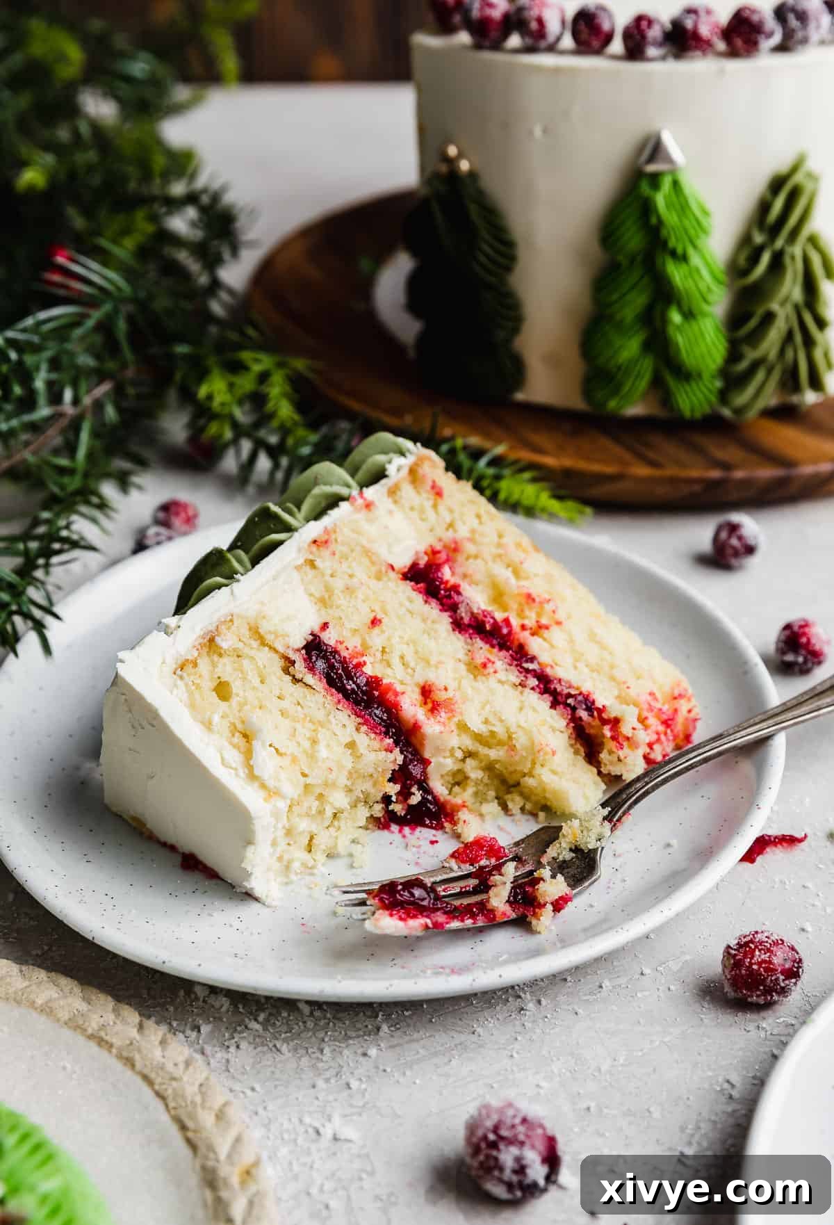 A slice of orange cranberry layer cake decorated with green Christmas trees along the edges, on a white plate, ready to be enjoyed.