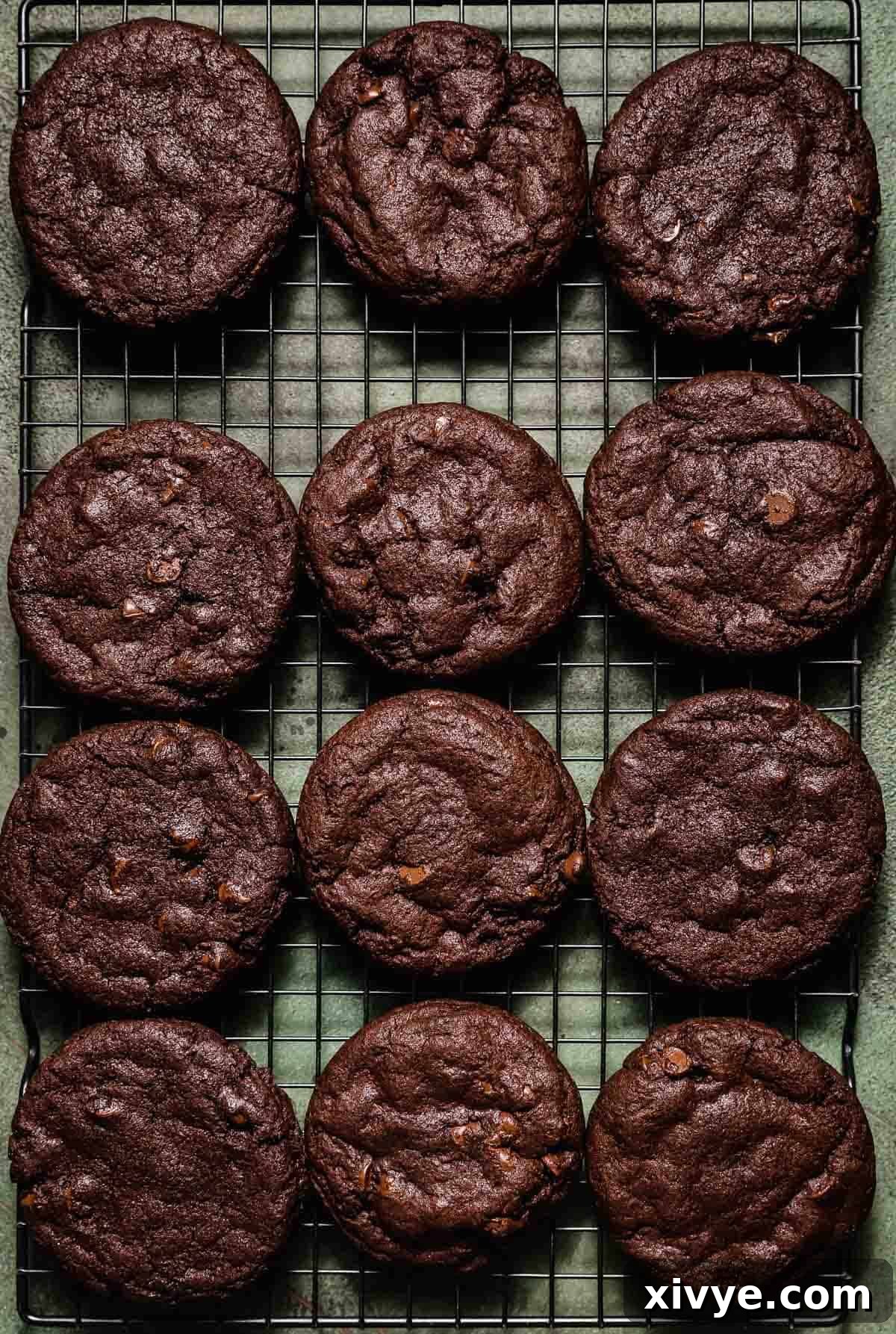 Peppermint Bark Bites 7 Chocolate cookies on a black wire cooling rack on a green background.