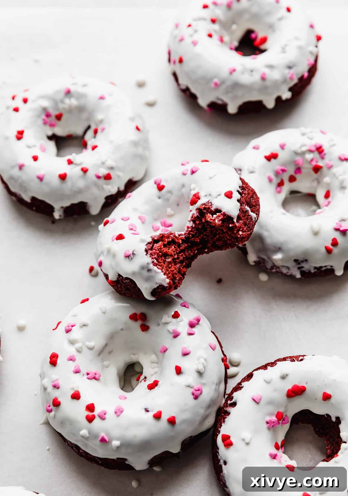 Velvet Dream Doughnuts 12 A freshly glazed white chocolate topped red velvet donut, with a perfect bite taken out, highlighting its rich red crumb.