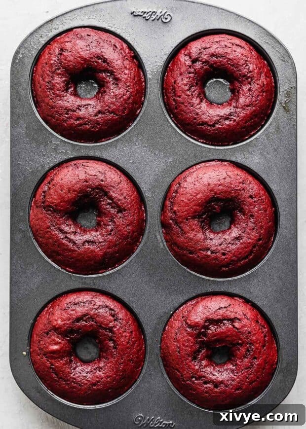 Velvet Dream Doughnuts 7 Freshly baked Red Velvet Donuts still in their donut pan, displaying a perfect golden-red hue and fluffy texture.