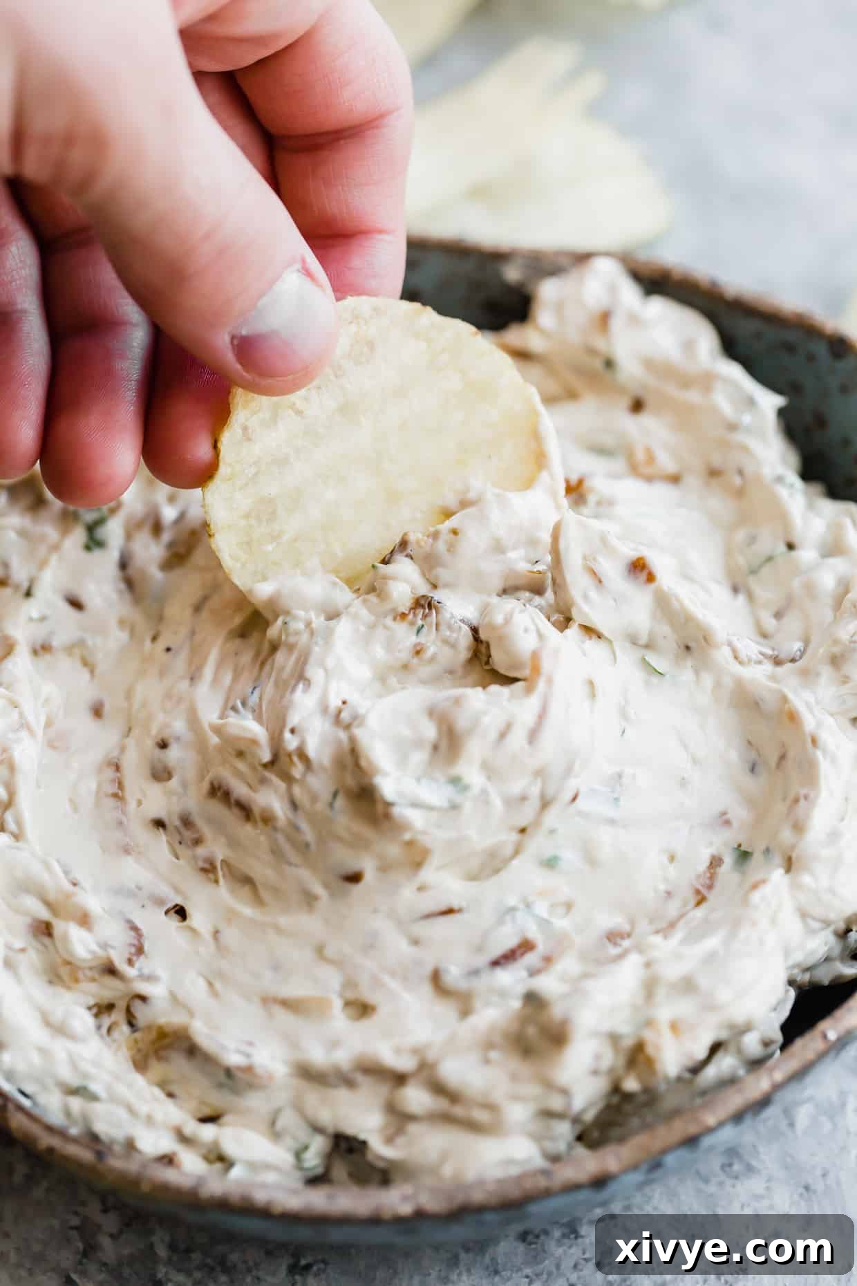 Velvety Onion Cream Cheese Dip 6 Onion dip in a bowl with a ruffled potato chip dipping into it.
