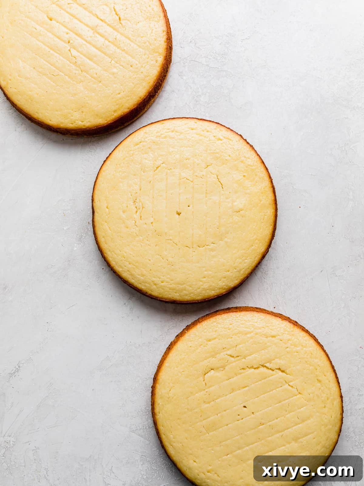 Three perfectly baked 8-inch round lemon cakes, ready for frosting, displayed on a light gray background.