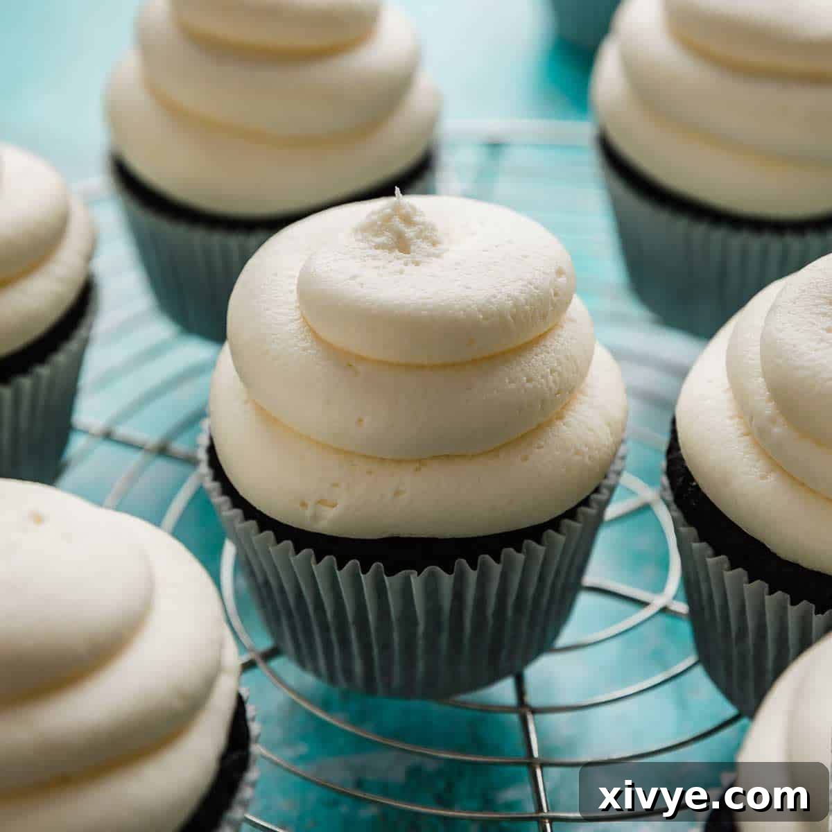 Two enticing chocolate cupcakes adorned with swirls of pristine white Whipped Cream Frosting, presented against a soft blue background, highlighting the frosting's elegant texture.
