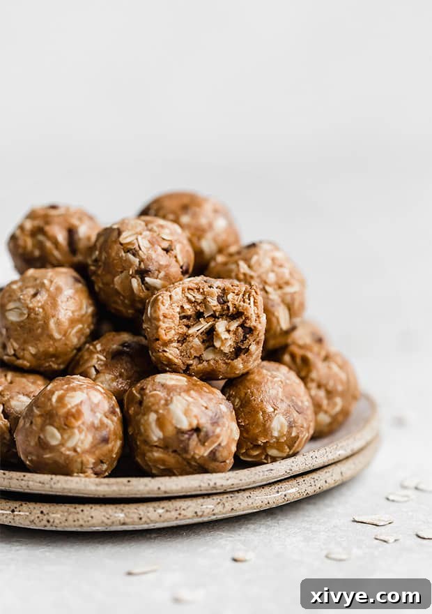 A delightful plate brimming with perfectly formed Chocolate Peanut Butter Protein Balls, a healthy and delicious snack.