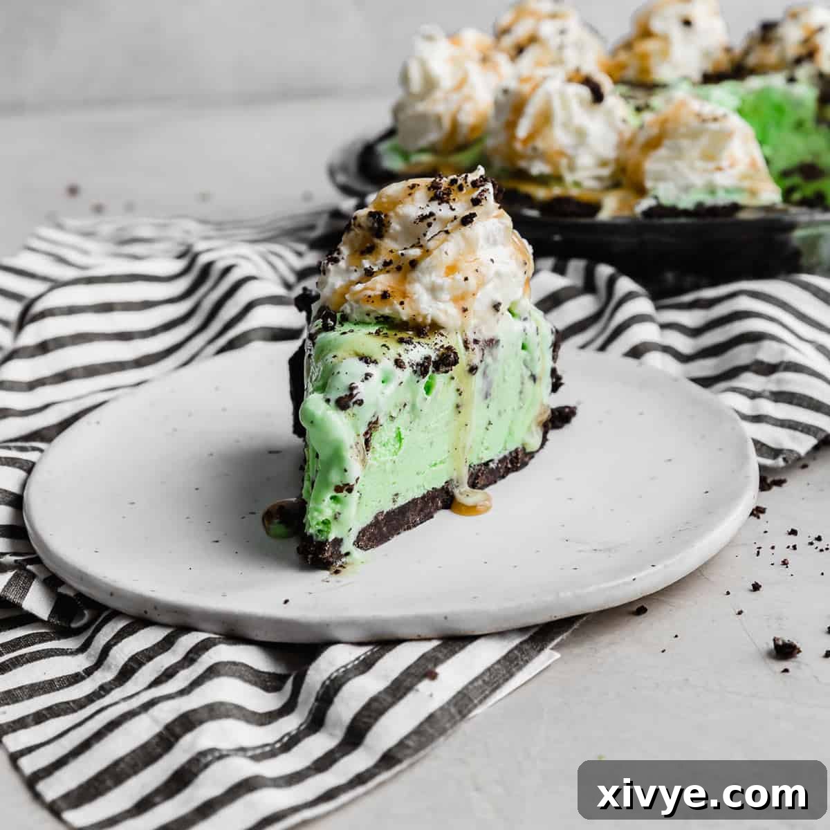 Irresistible Oreo Creations 22 A luscious slice of Asphalt Pie, showcasing its mint chocolate chip ice cream filling and Oreo crust, elegantly placed on a white plate.