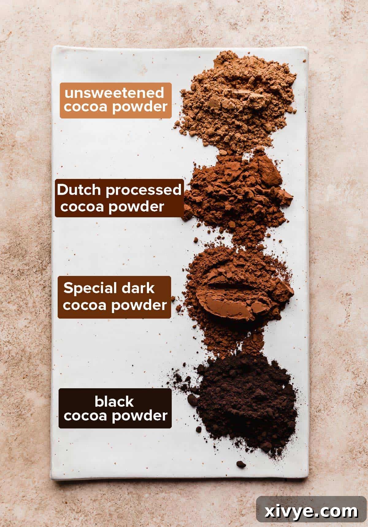 Your Comprehensive Guide to Black Cocoa Powder 5 A comparison of unsweetened cocoa, dutch processed cocoa, special dark cocoa, and black cocoa on a white plate, illustrating color differences.