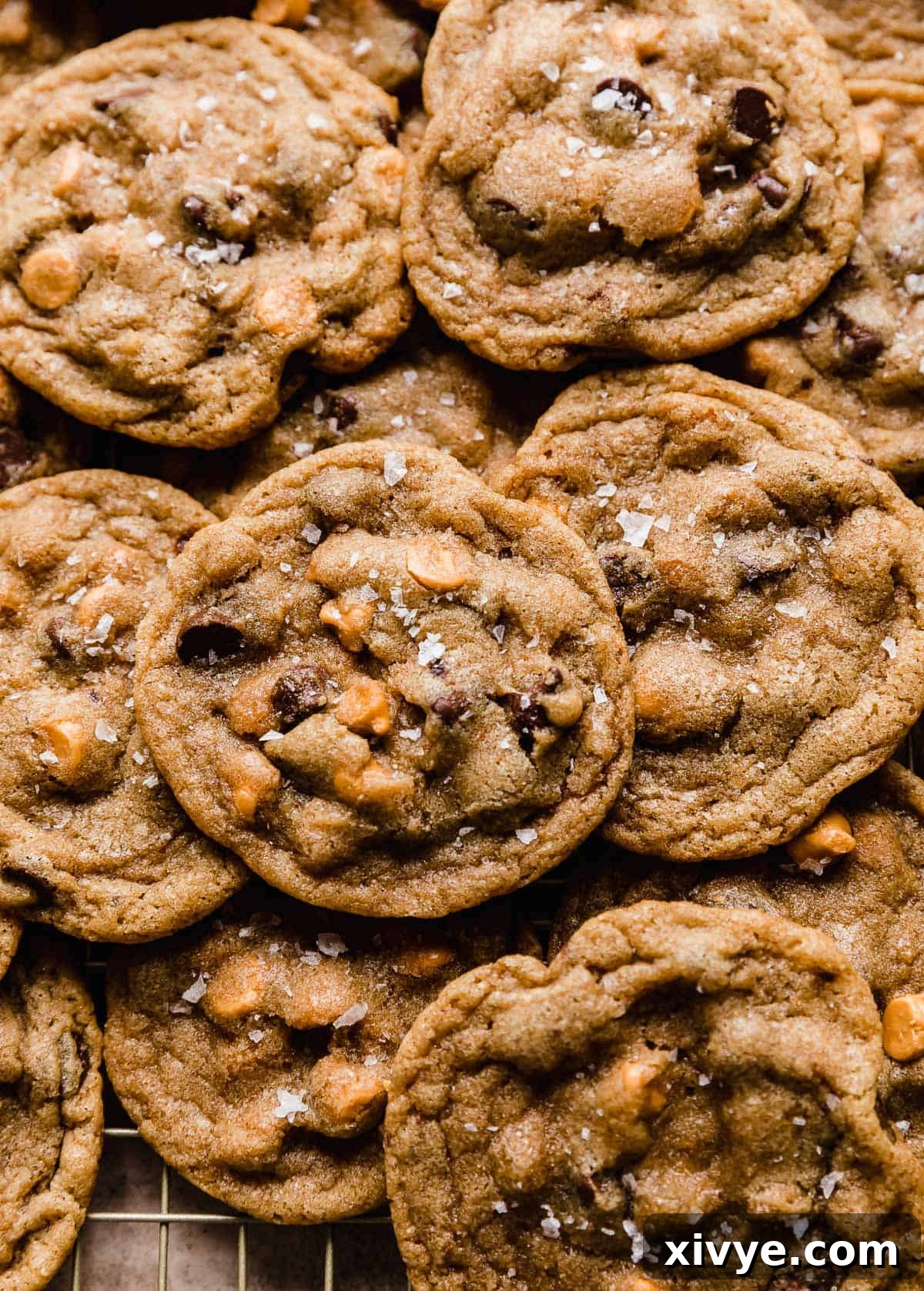Irresistible Butterscotch Chocolate Chip Cookies adorned with flaky sea salt, cooling on a rack.
